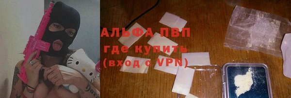 ПСИЛОЦИБИНОВЫЕ ГРИБЫ Вязники