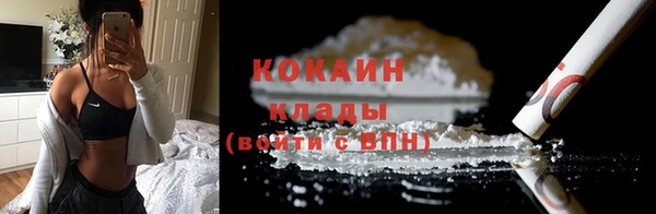 ПСИЛОЦИБИНОВЫЕ ГРИБЫ Вязники