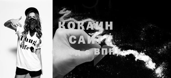ПСИЛОЦИБИНОВЫЕ ГРИБЫ Вязники