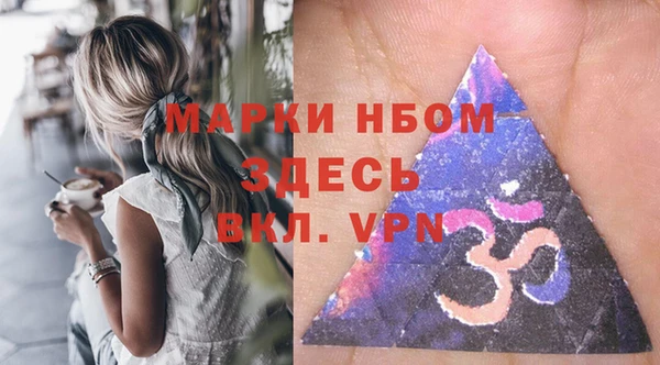 ПСИЛОЦИБИНОВЫЕ ГРИБЫ Вязники