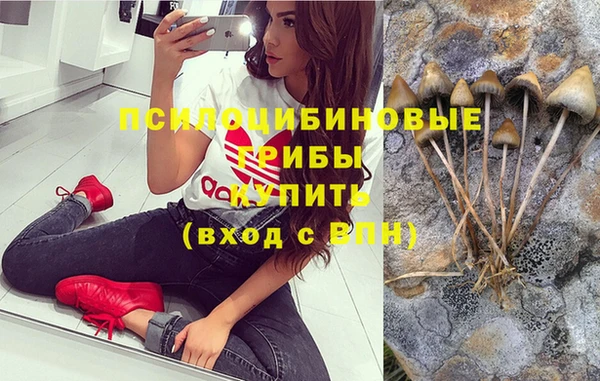 герыч Вязьма