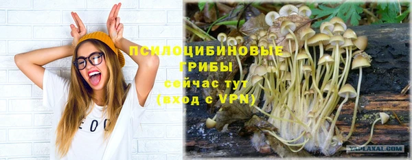 герыч Вязьма
