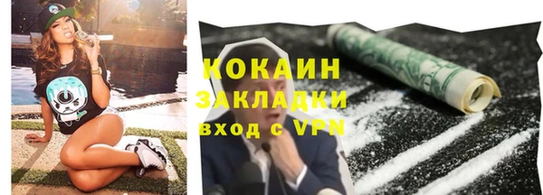 ПСИЛОЦИБИНОВЫЕ ГРИБЫ Вязники
