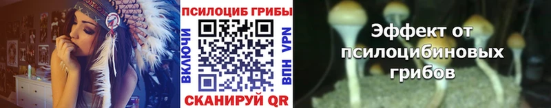 Псилоцибиновые грибы Cubensis  Меленки 